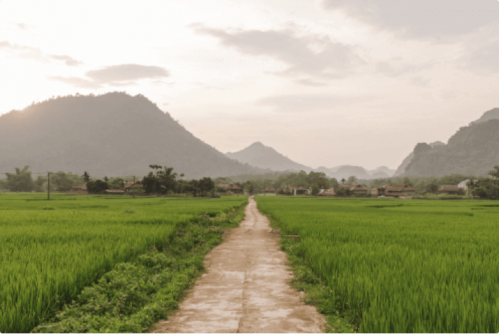 Từ vựng IELTS chủ đề Hometown