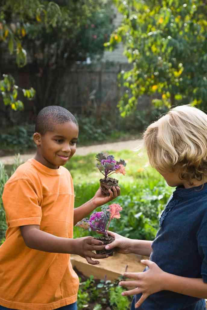 IELTS Speaking part 1 - Topic Sharing: Bài mẫu và từ vựng - Bài 2