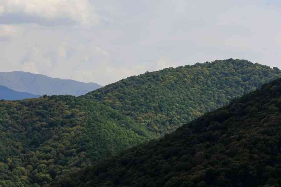 Từ Vựng Bài Đọc Georgia O'Keeffe Cambridge IELTS 20 Reading Test 4 Passage 1