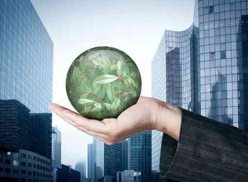 Real IELTS Writing 2 - Topic Environment (National or International Responsibility) & sample band 8.5+