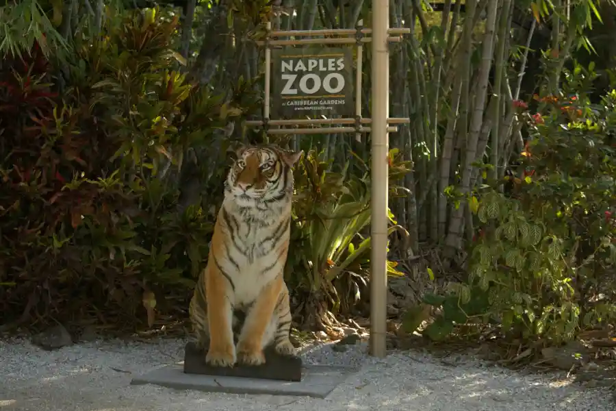 Why zoos are good - IELTS Reading with Practice Test, Answers And Explanation
