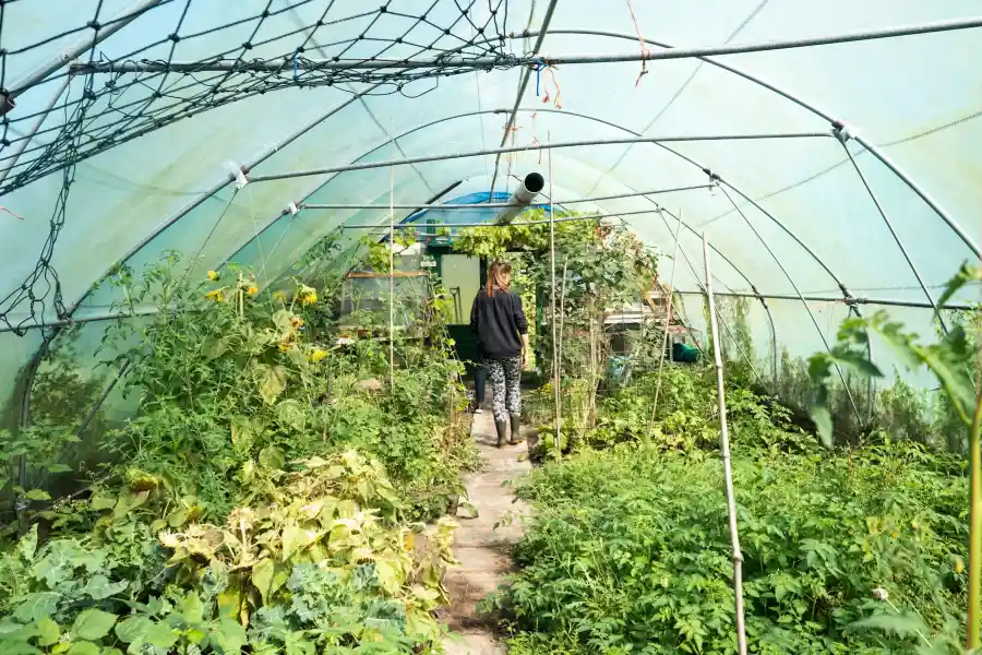 Working in the agriculture and horticulture sectors - IELTS Listening with Practice test, Audio, Transcript, And Explanation