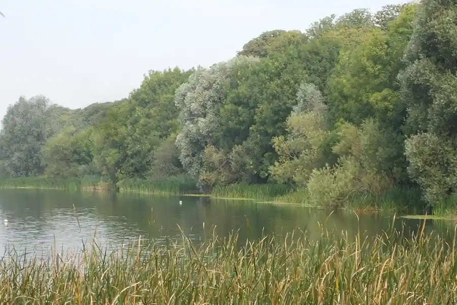 Hinchingbrooke Country Park