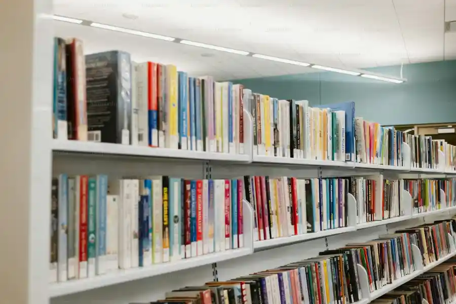 Paper On Public Libraries