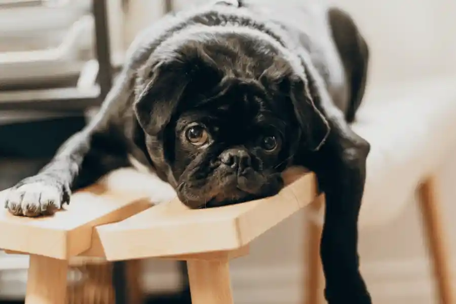 Why being bored is stimulating – and useful, too - IELTS Reading with Practice Test, Answers And Explanation