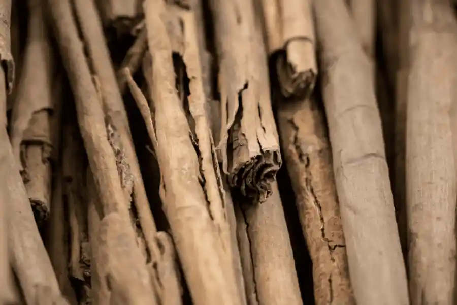 Bringing cinnamon to Europe - IELTS Reading with Practice Test, Answers And Explanation