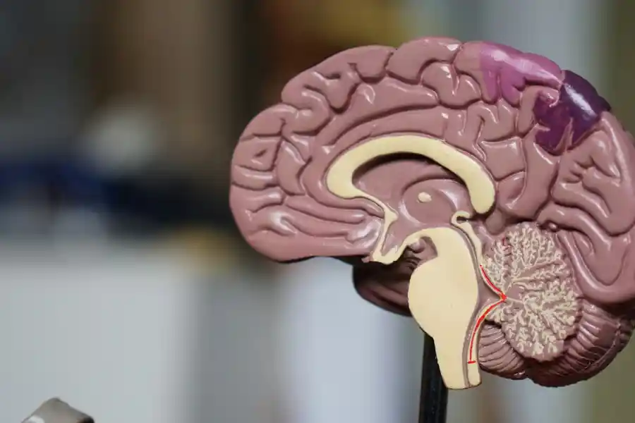 A neuroscientist reveals how to think differently
