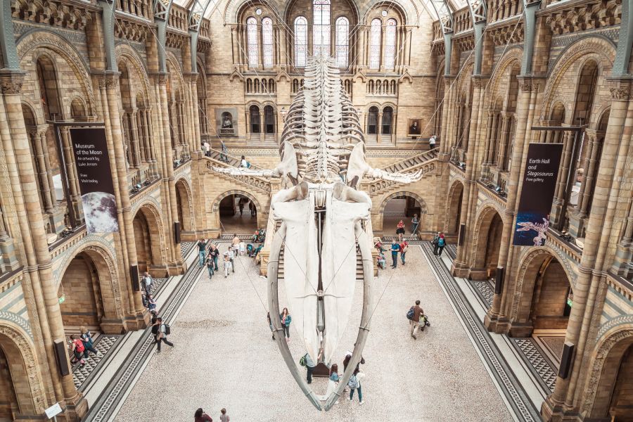 Birmingham Exhibition IELTS Listening Answers With Audio, Transcript, And Explanation