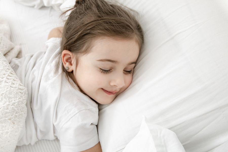 Từ Vựng Bài Nghe The Role Of Sleep In Humans And Animals