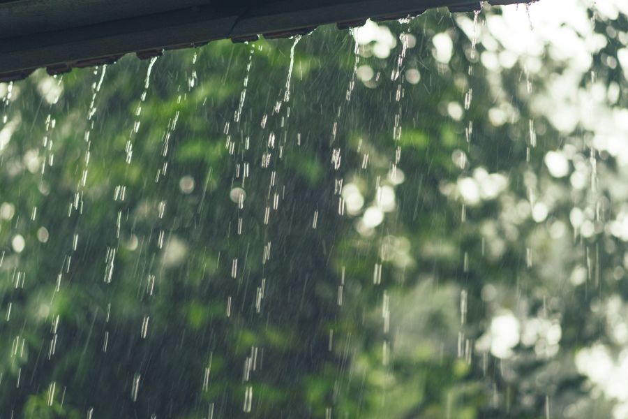 The rainmaker