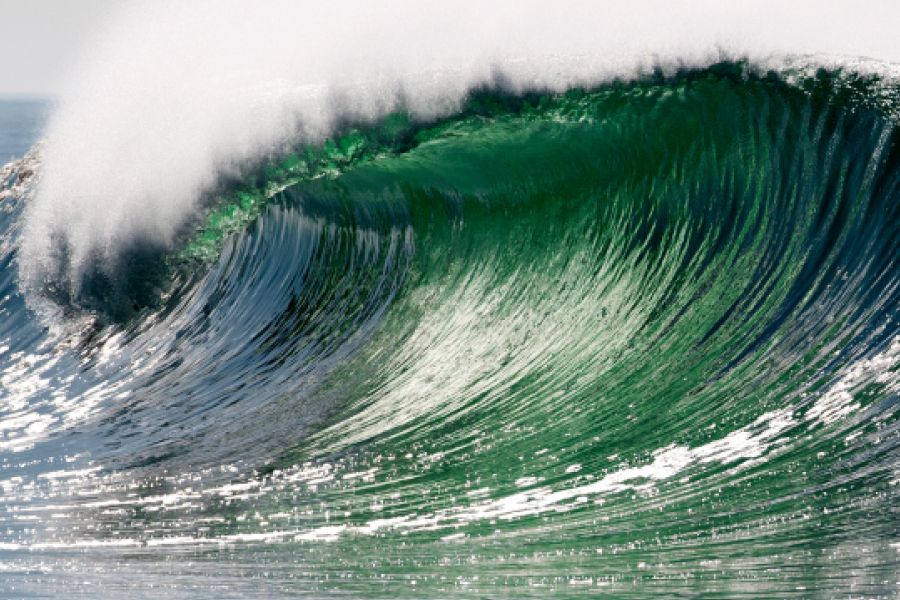 Từ Vựng Bài Nghe Tsunami