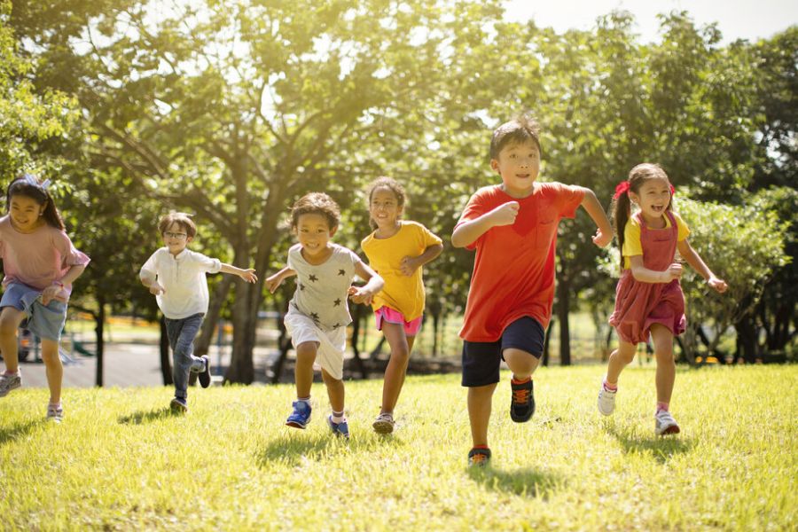 The Importance Of Children's Play IELTS Reading Answers with Explanation