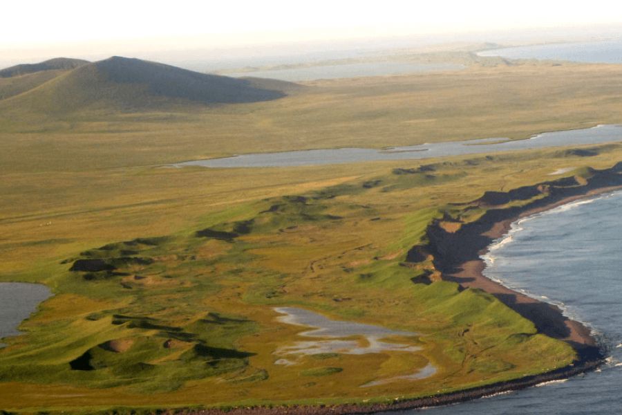 Từ Vựng Bài Nghe Woolly Mammoths On St Paul’s Island