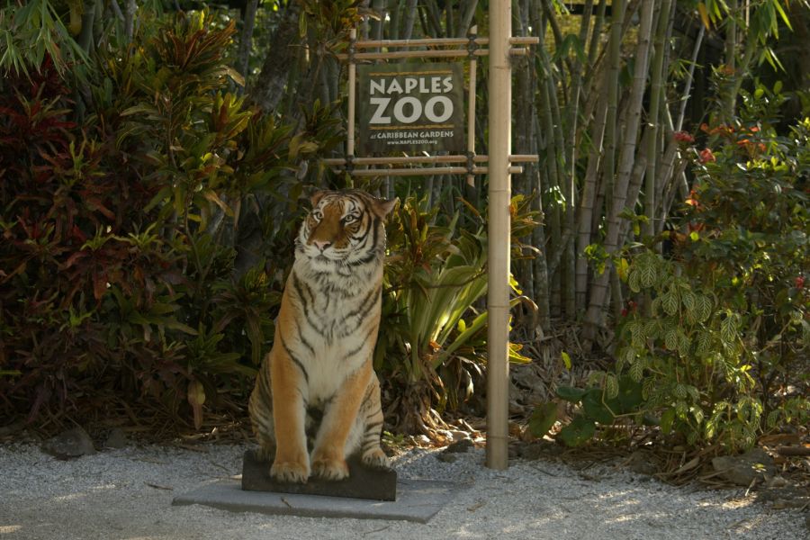 Why Zoos Are Good IELTS Reading Answers with Explanation