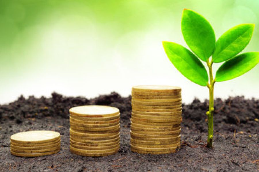 Từ Vựng IELTS Mock Test Vol 15 - Reading Test 4 - Passage 3: Environmental practices of big businesses