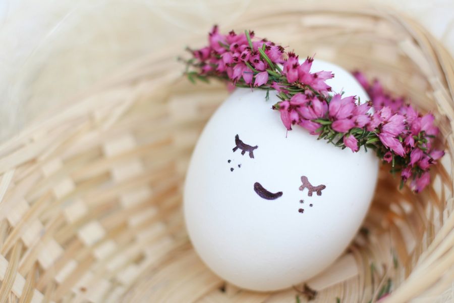 Assignment On Sleep And Dreams IELTS Listening Answers With Audio, Transcript, And Explanation