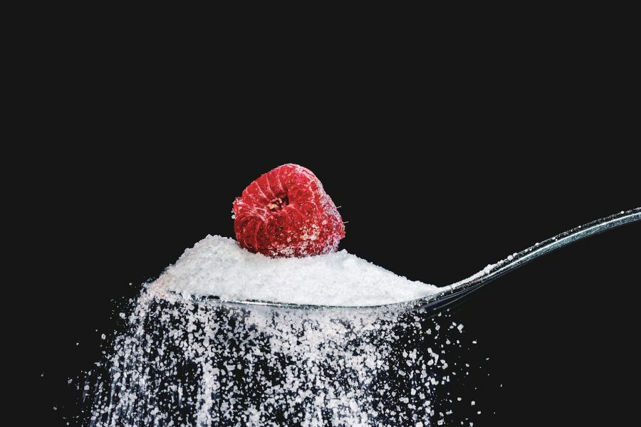 Experiment On Artificial Sweeteners IELTS Listening Answers With Audio, Transcript, And Explanation
