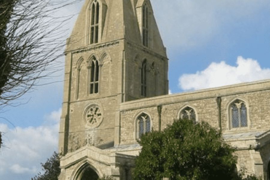 Từ Vựng Bài Nghe Buckworth Conservation Group