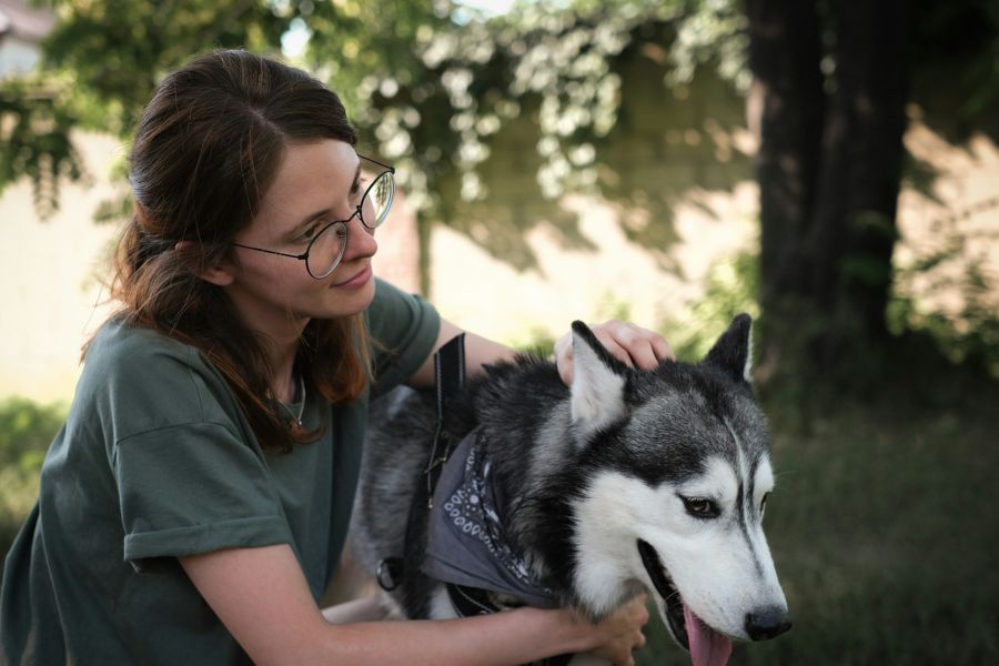 Work Experience For Veterinary Science Students IELTS Listening Answers With Audio, Transcript, And Explanation
