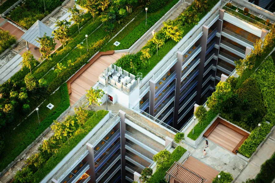 Green Roofs IELTS Reading Answers with Explanation