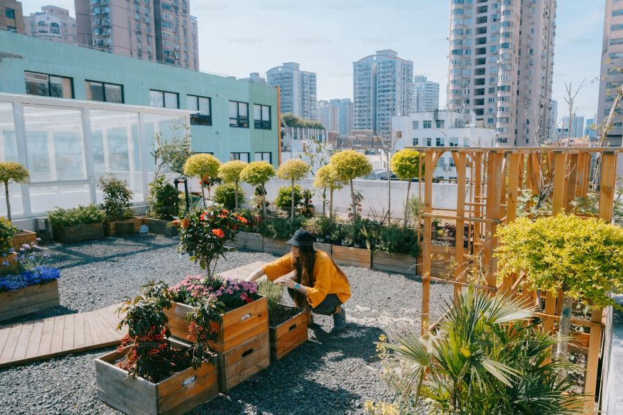 Từ Vựng Bài Đọc Urban Farming