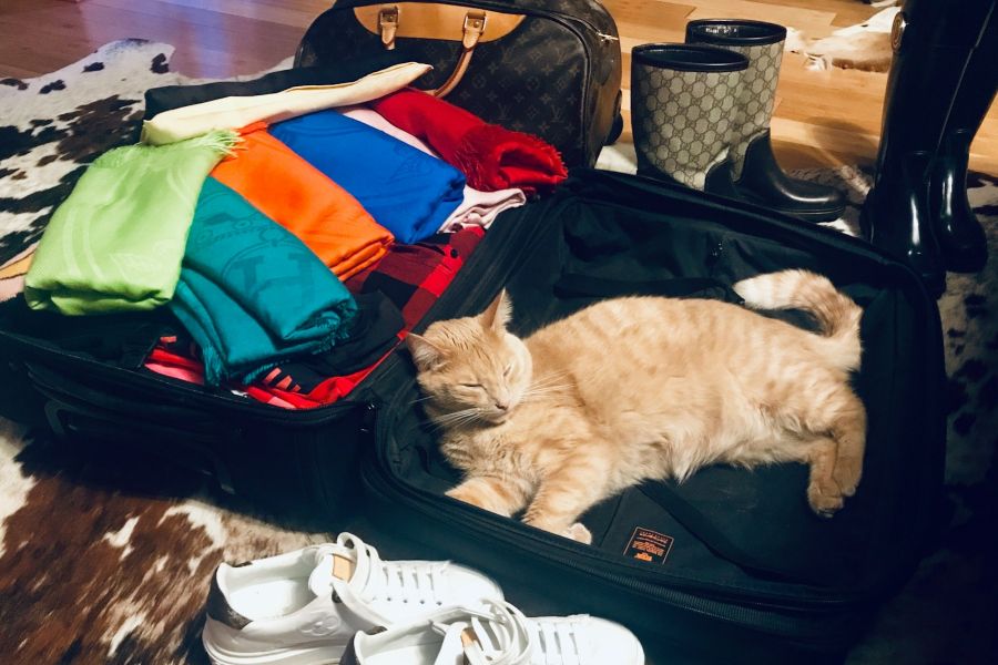 Từ Vựng Bài Nghe Packing advice