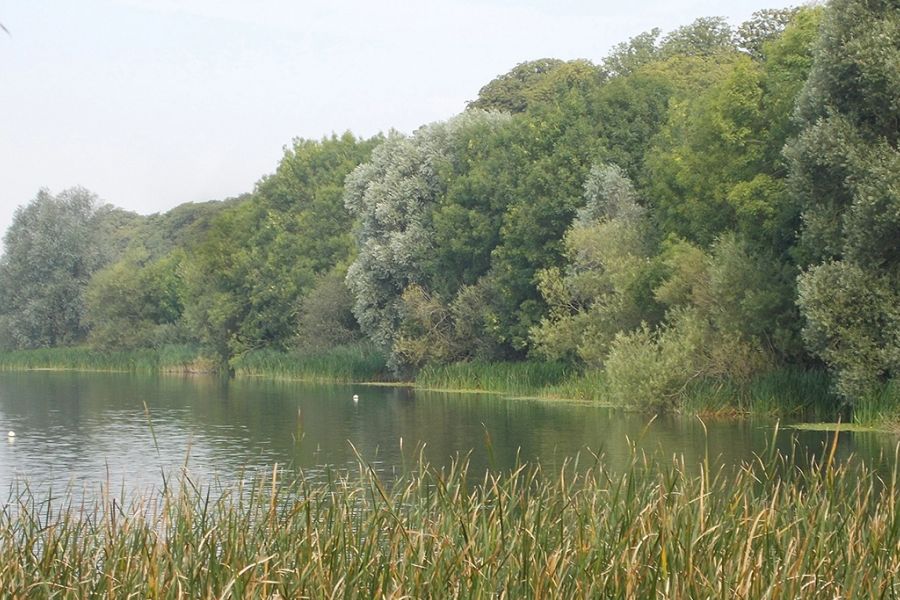 Từ Vựng Bài Nghe Hinchingbrooke Country Park