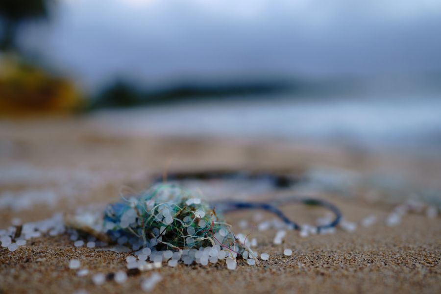 Từ Vựng Bài Nghe Microplastics