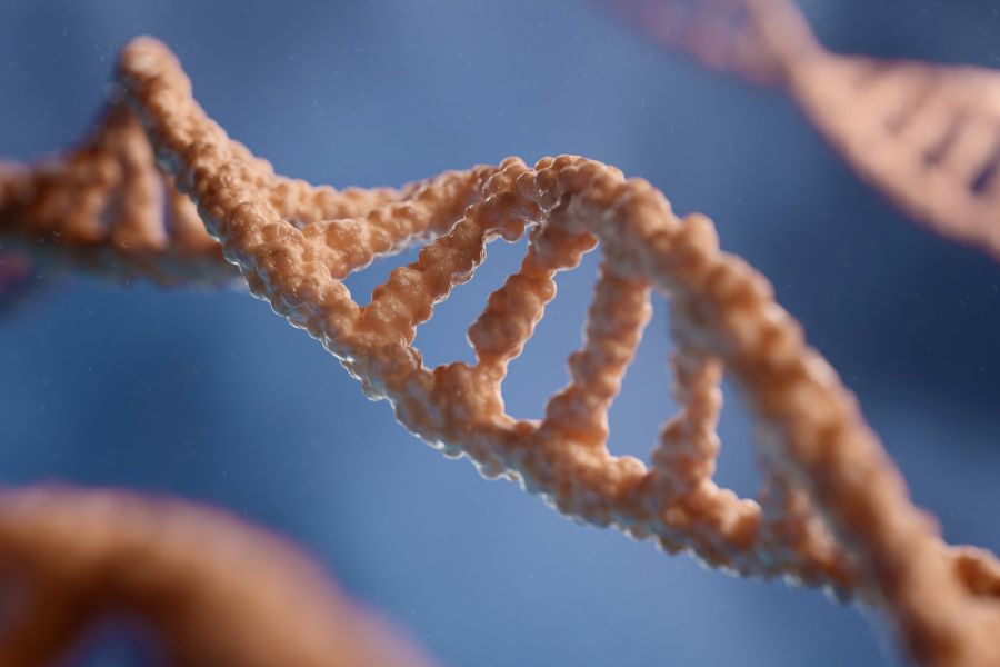 The Unselfish Gene IELTS Reading Answers with Explanation