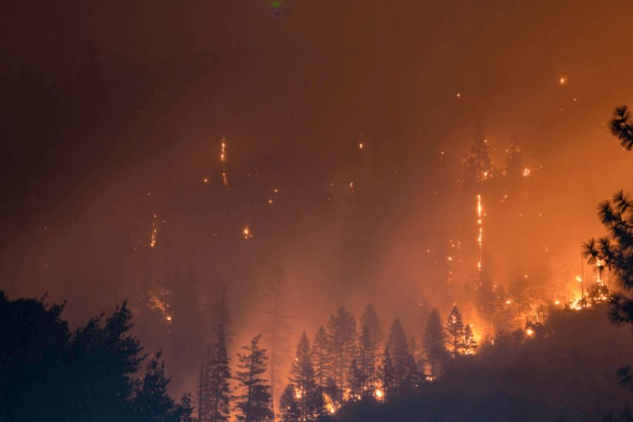 Từ Vựng Bài Đọc The Megafires Of California