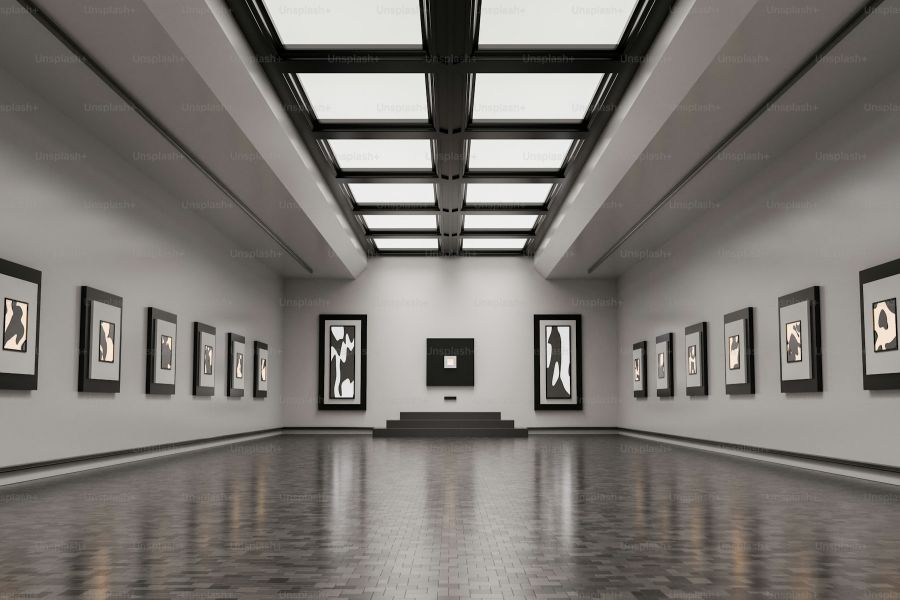Museums Of Fine Art And Their Public IELTS Reading Answers with Explanation