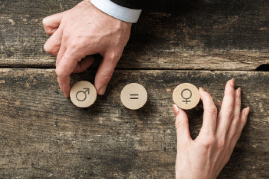 Từ Vựng Bài Nghe Study On Gender In Physics