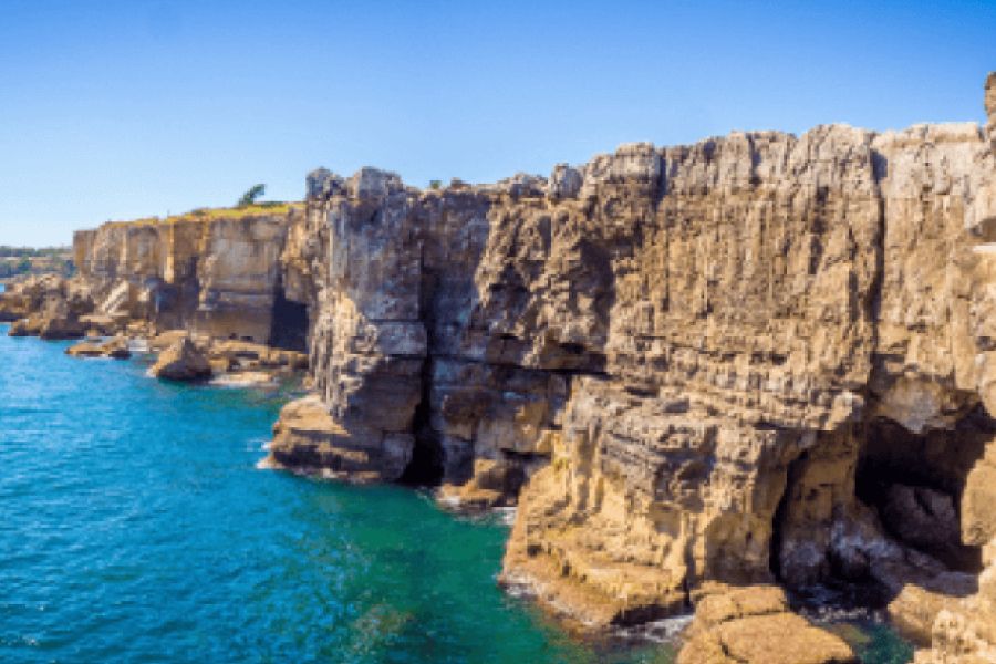 Rocky Bay Field Trip IELTS Listening Answers With Audio, Transcript, And Explanation