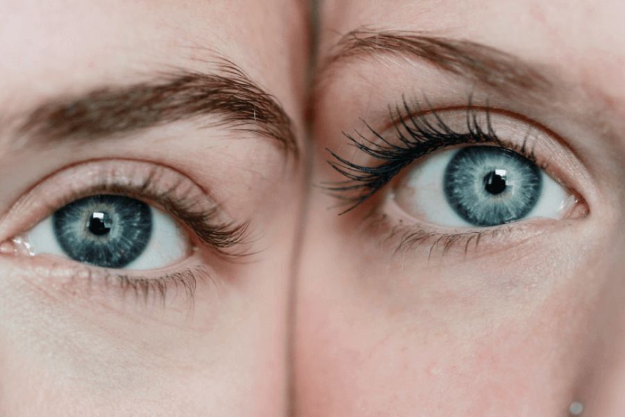 Research Using Twins IELTS Reading Answers with Explanation