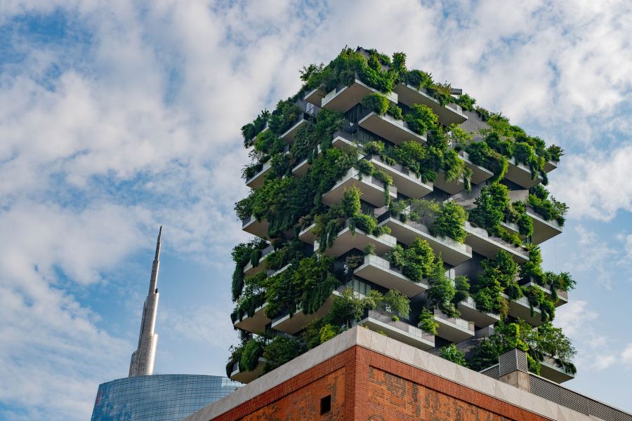 Crop-Growing Skyscrapers IELTS Reading Answers with Explanation