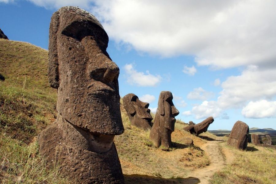 What Destroyed The Civilisation Of Easter Island? IELTS Reading Answers with Explanation
