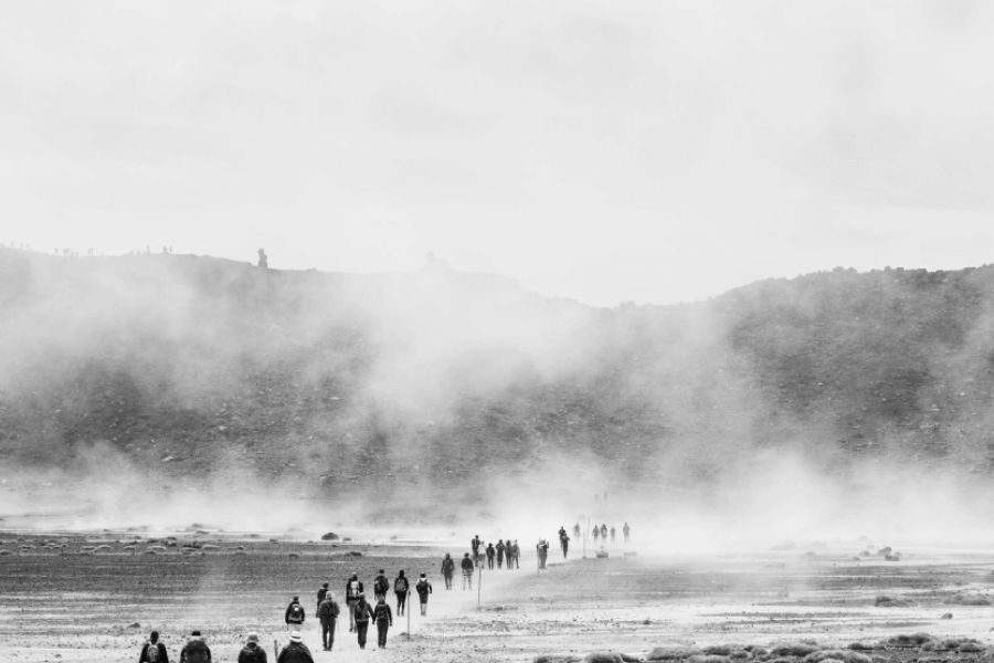 Từ Vựng Bài Đọc Great Migrations