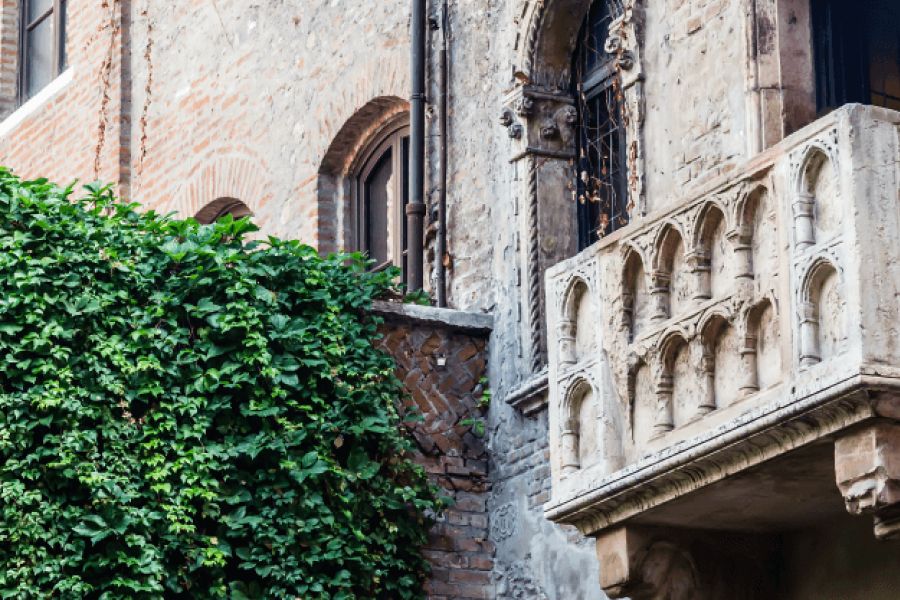 Từ Vựng Bài Nghe Shakespeare'S Plays' Film Adaptation