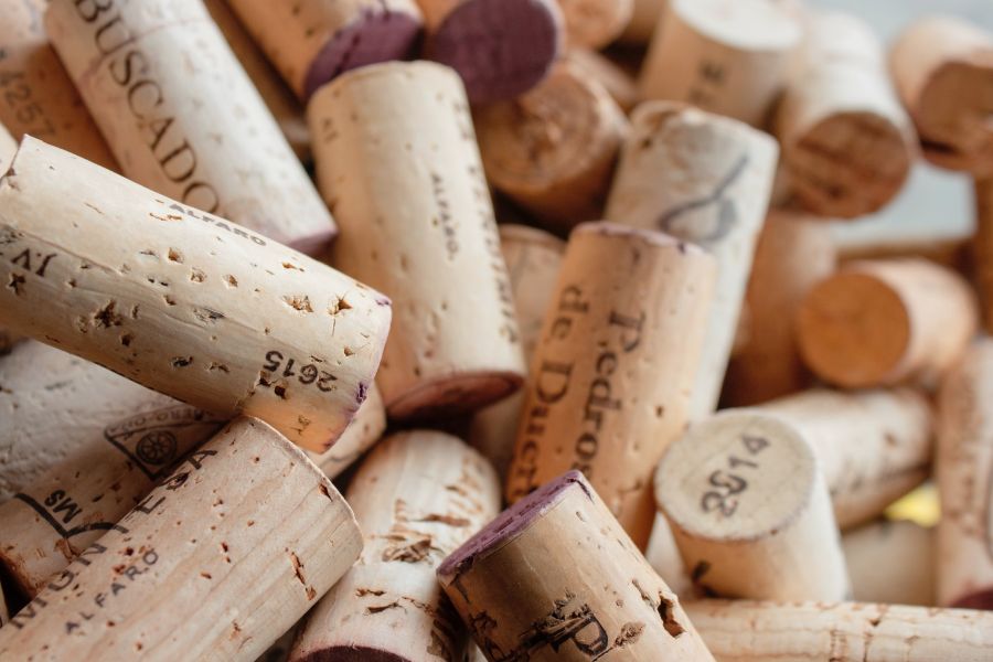 Từ Vựng Bài Đọc Cork