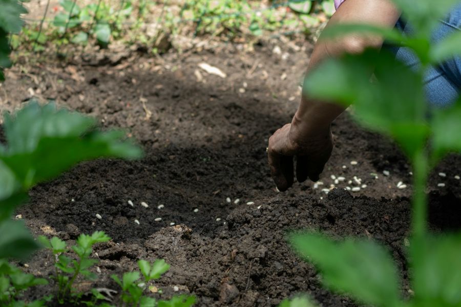 Từ Vựng Bài Đọc Saving The Soil