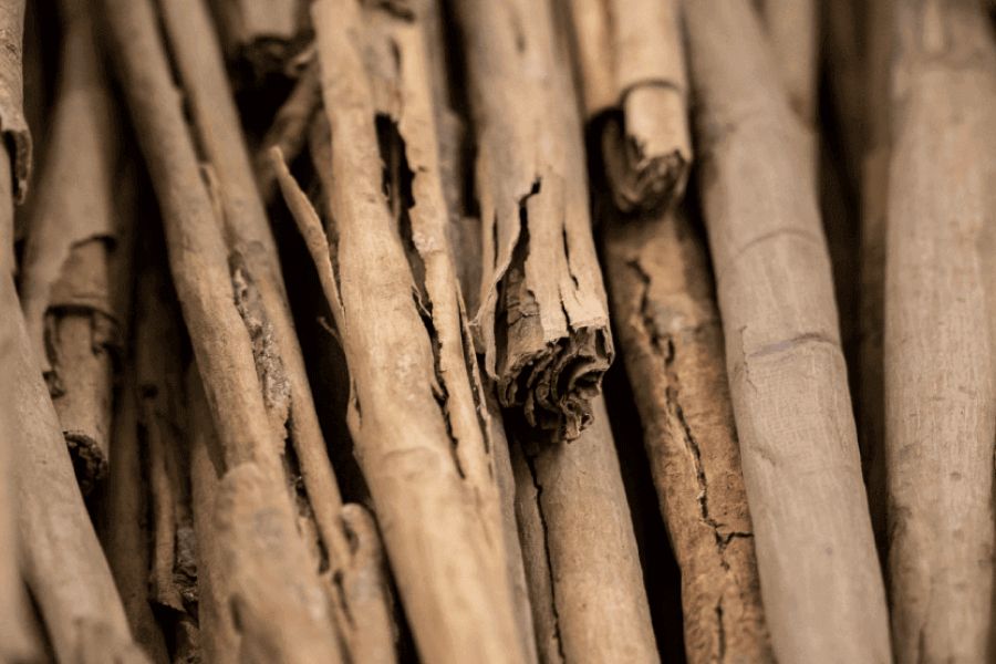 Từ Vựng Bài Đọc Bringing Cinnamon To Europe