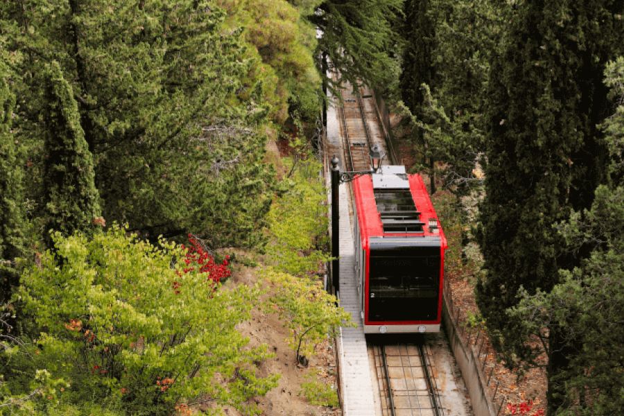 Winridge Forest Railway Park IELTS Listening Answers With Audio, Transcript, And Explanation