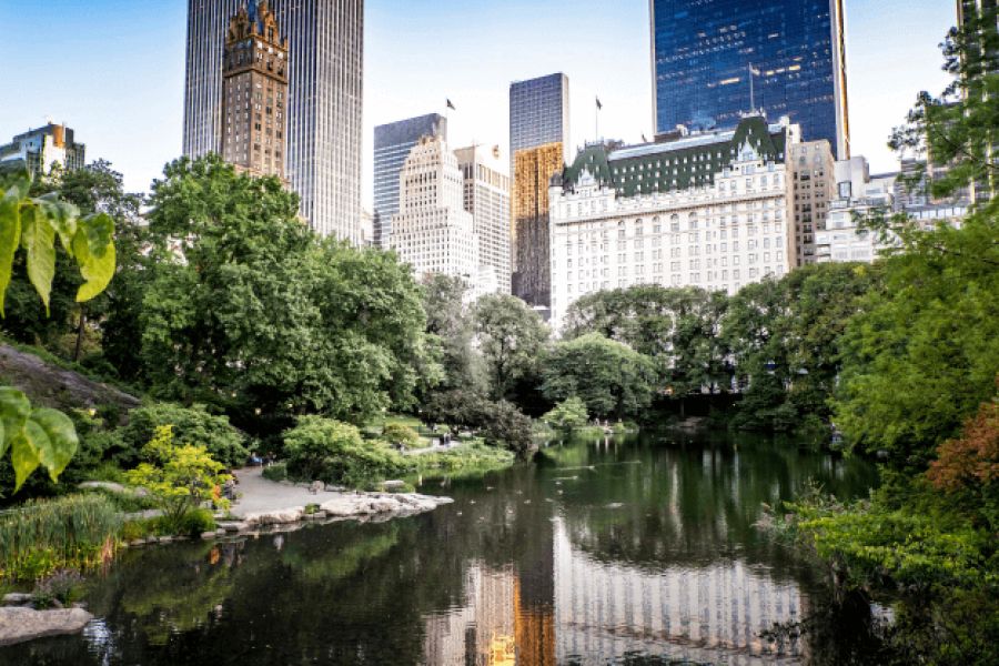 Wildlife In City Gardens IELTS Listening Answers With Audio, Transcript, And Explanation