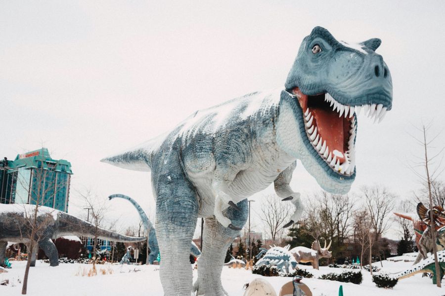 Dinosaur museum in Canada