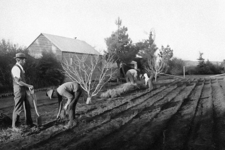 A history of Sunnyside Farm