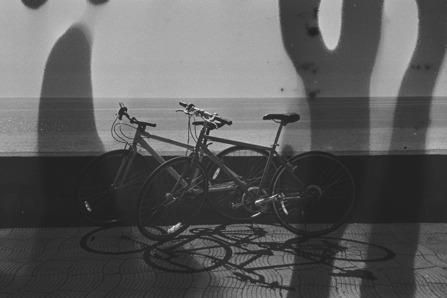 Evolution of the bicycle