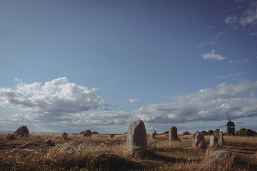 Prehistoric Park