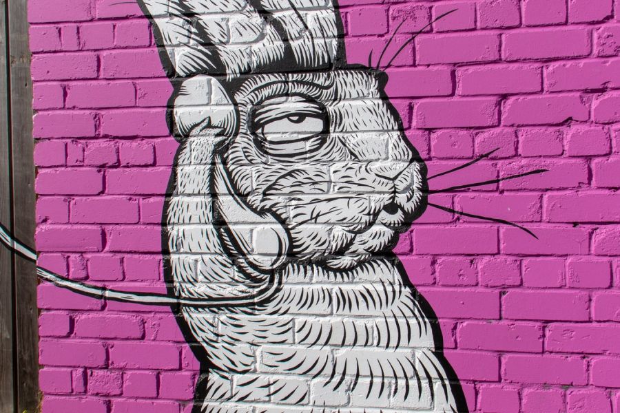 Từ Vựng Bài Nghe Do-It-Yourself House Painting