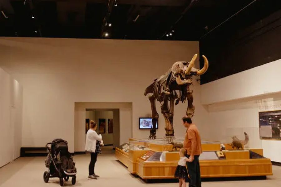 A Tour of the State Museum Exhibitions