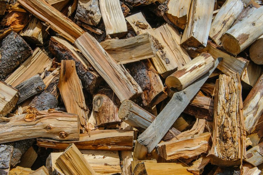 Biomass fuel